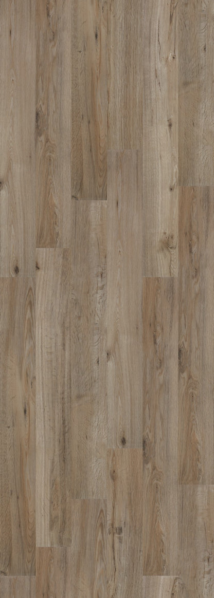 Piso Vinílico SPC - Tarkett -  Tech Ambienta - Oliva - 2,20m² por caixa